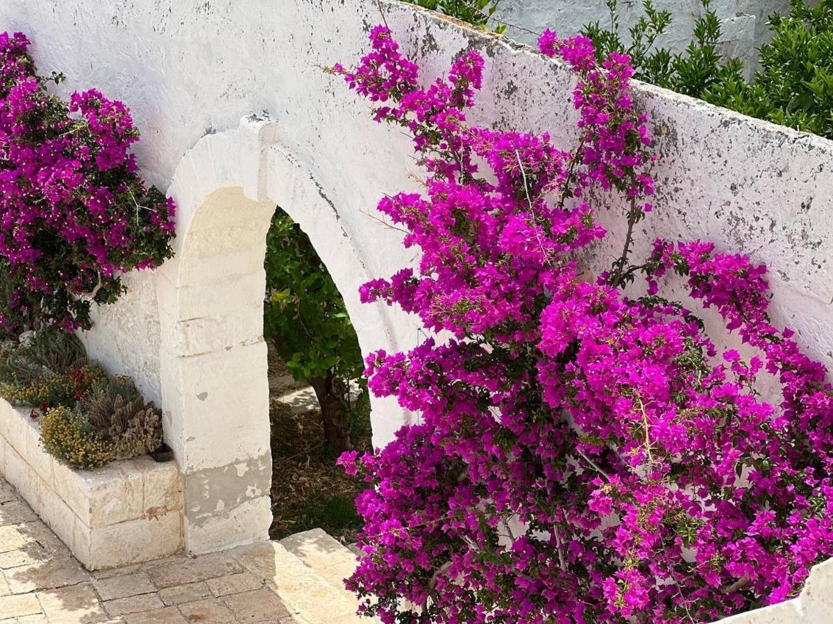 Masseria Piccole Taverne Rosa Marina Eksteriør billede