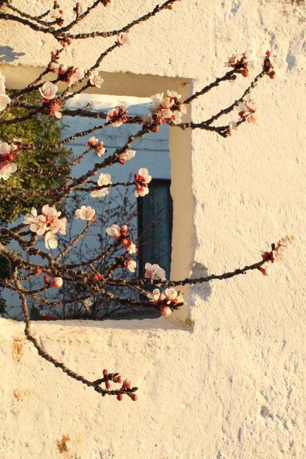 Masseria Piccole Taverne Rosa Marina Eksteriør billede
