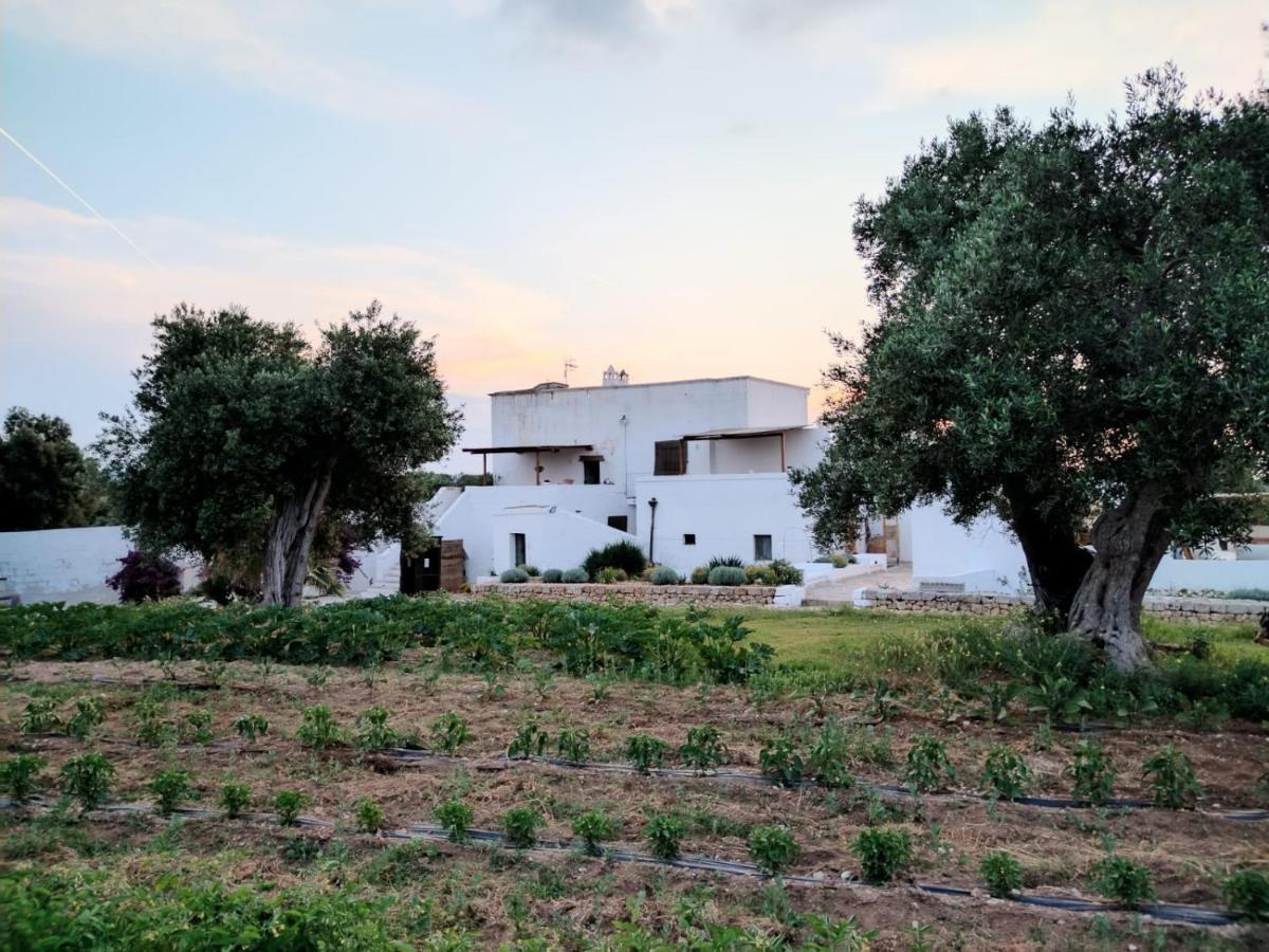 Masseria Piccole Taverne Rosa Marina Eksteriør billede
