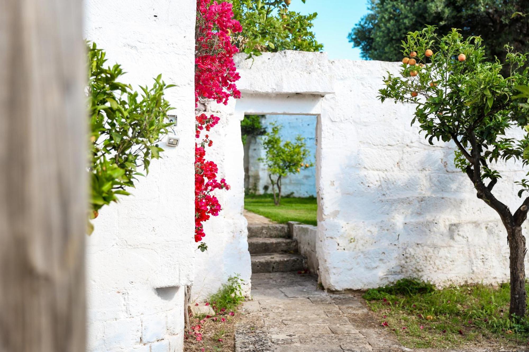 Masseria Piccole Taverne Rosa Marina Eksteriør billede