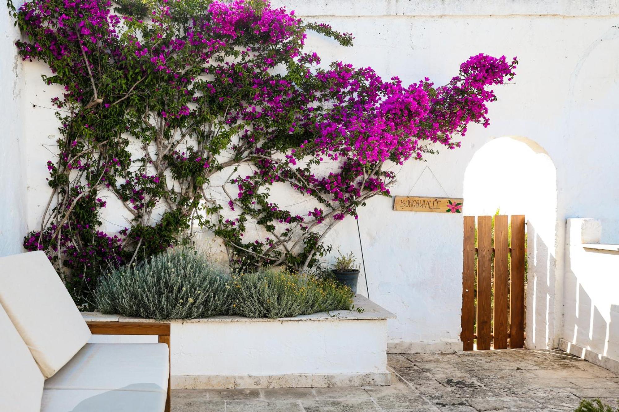 Masseria Piccole Taverne Rosa Marina Eksteriør billede