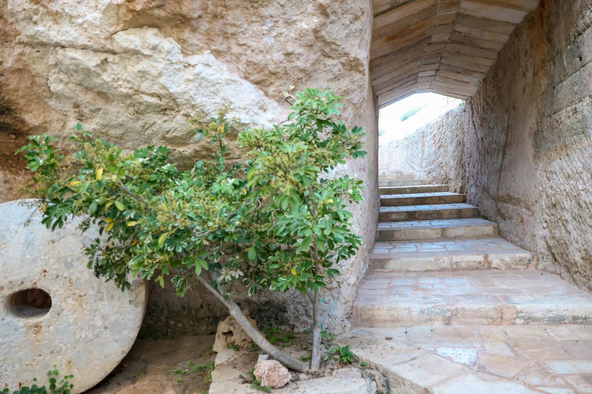 Masseria Piccole Taverne Rosa Marina Eksteriør billede