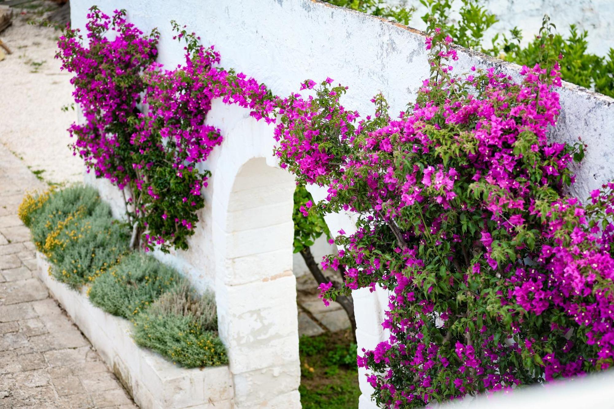 Masseria Piccole Taverne Rosa Marina Eksteriør billede