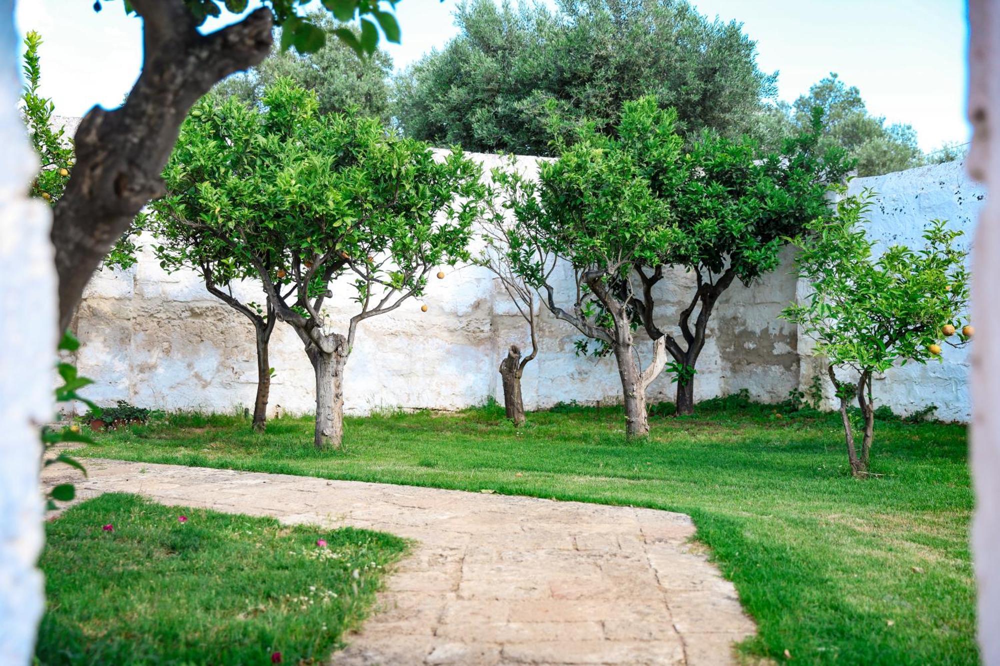 Masseria Piccole Taverne Rosa Marina Eksteriør billede