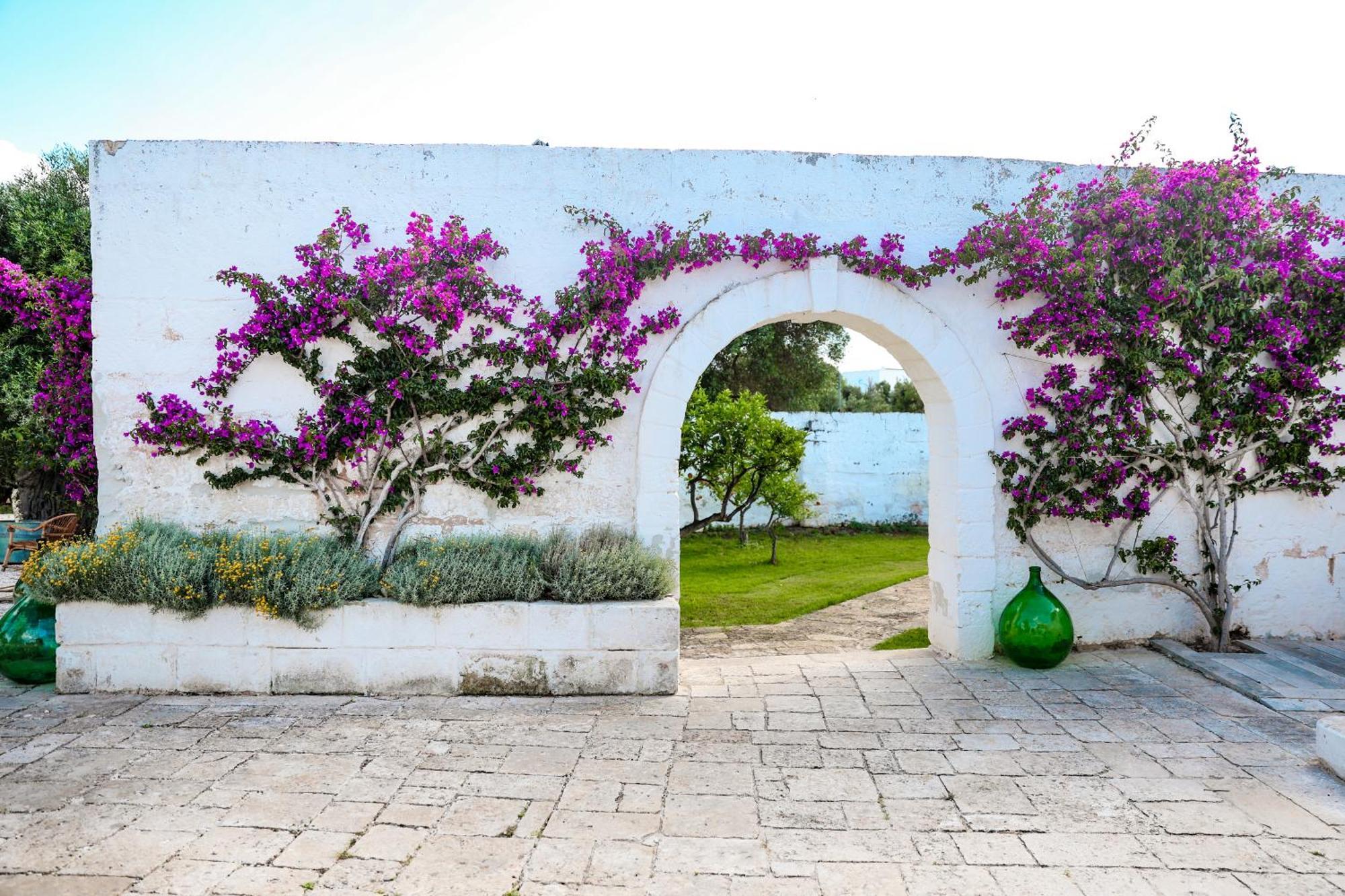 Masseria Piccole Taverne Rosa Marina Eksteriør billede